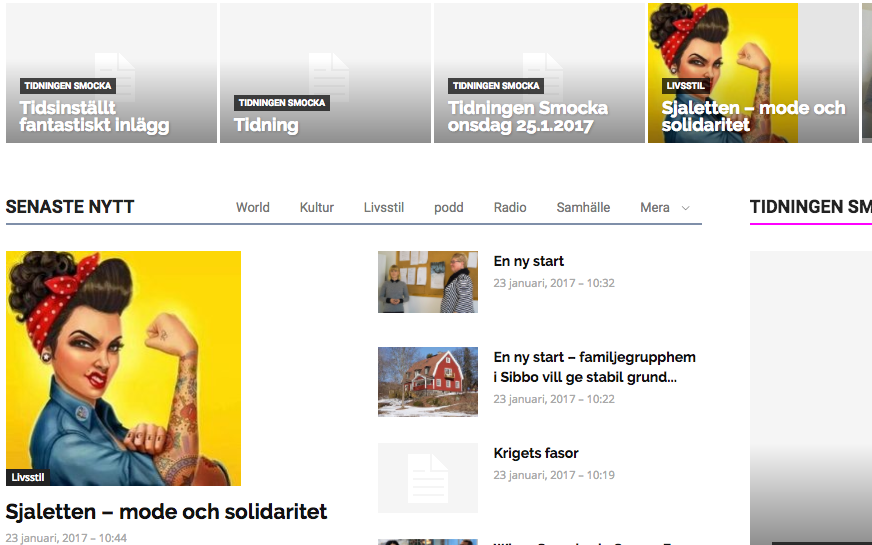 Screenshot of gridd and moduls resizing images wrongly