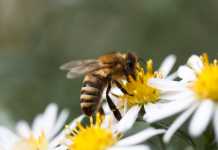 Binas framtid är vår allas framtid