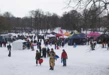 Högskoleutbildade nöjda med sina jobb