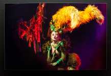 Burlesk förmedlar tolerans och känsla