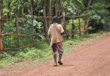 1,4 miljoner barn kan svälta