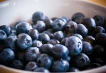 Bärföretagare åtalas för människohandel