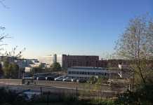 MTV: Anställd filmade sina sexpartner