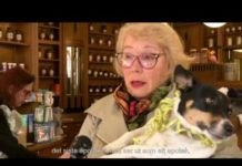 Apoteket Svanen stängde – ett kulturarv har gått i graven