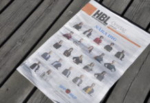 Ny undersökning: 74 procent av finlandssvenskarna tycker att hälso- och äldrevården viktigast i riksdagsvalet