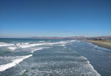 ”Valutan var dum och uttalet obegripligt”