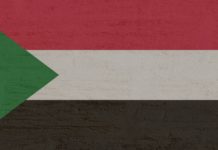 Revolution i Sudan – presidenten avgått