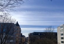 Våren tar oss med solsken – igen! Utsikt över Sinebrychoffparken