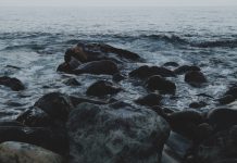 Behandlat Fukushimavatten släpps ut i Stilla havet