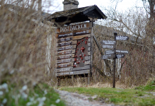 Sommarteaterns öde utmanas – ”Vi konstaterade ganska tidigt att vi spelar för tio, fem, eller en – för att få uppträda”