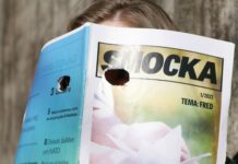 Hitta.se finns inte i Finland – en kulturell chock